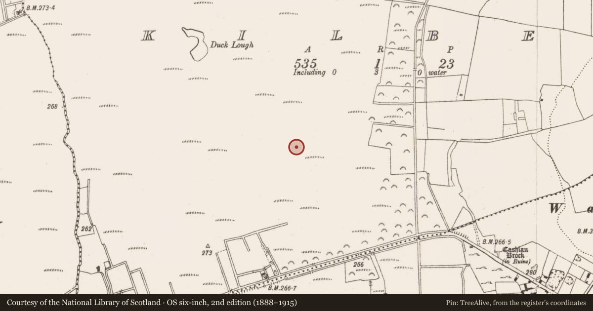 Ordnance Survey six-inch map, 2nd edition (1888–1915) covering the location of Road - class 2 togher, Kilbeg, County Offaly, with a pin at the register's coordinates