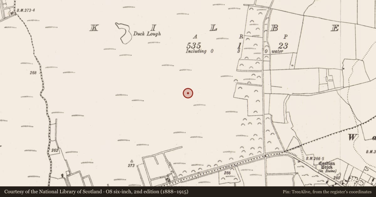 Ordnance Survey six-inch map, 2nd edition (1888–1915) covering the location of Structure - peatland, Kilbeg, County Offaly, with a pin at the register's coordinates
