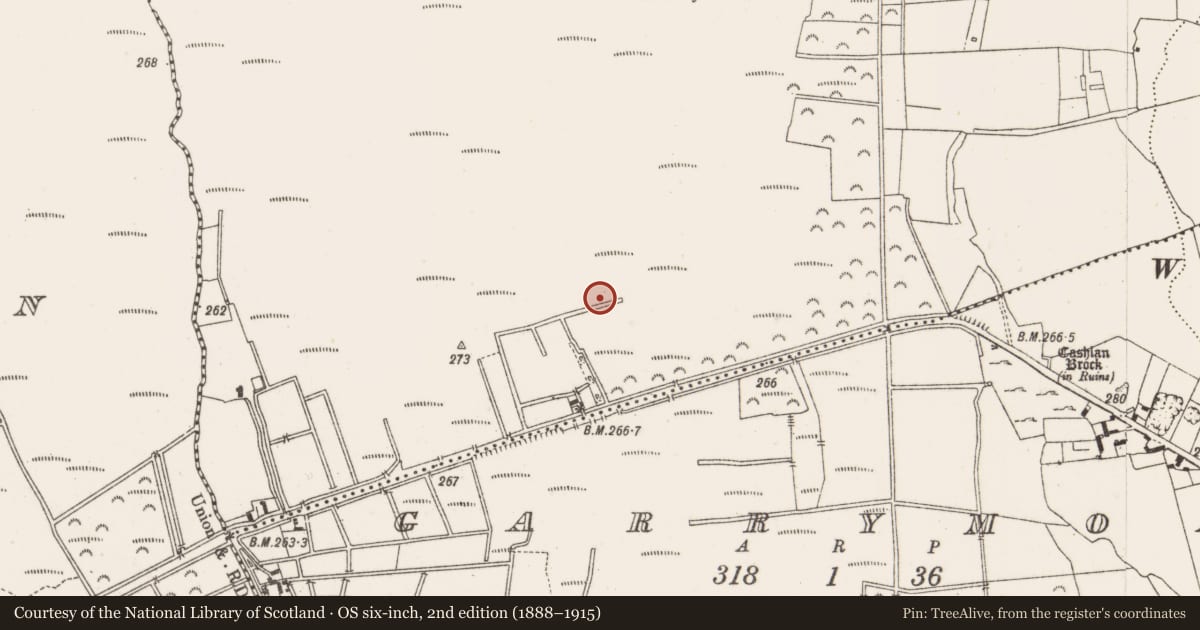 Ordnance Survey six-inch map, 2nd edition (1888–1915) covering the location of Road - class 2 togher, Kilbeg, County Offaly, with a pin at the register's coordinates