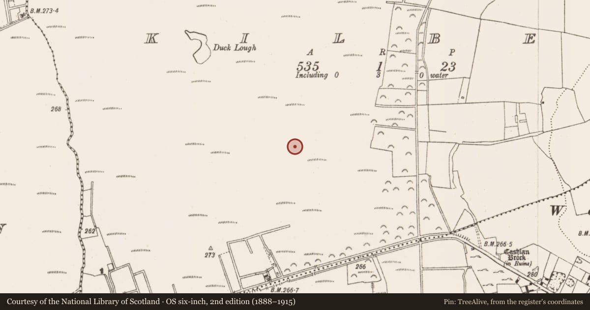 Ordnance Survey six-inch map, 2nd edition (1888–1915) covering the location of Structure - peatland, Kilbeg, County Offaly, with a pin at the register's coordinates