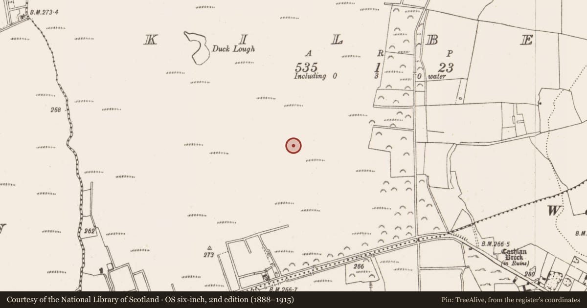 Ordnance Survey six-inch map, 2nd edition (1888–1915) covering the location of Structure - peatland, Kilbeg, County Offaly, with a pin at the register's coordinates
