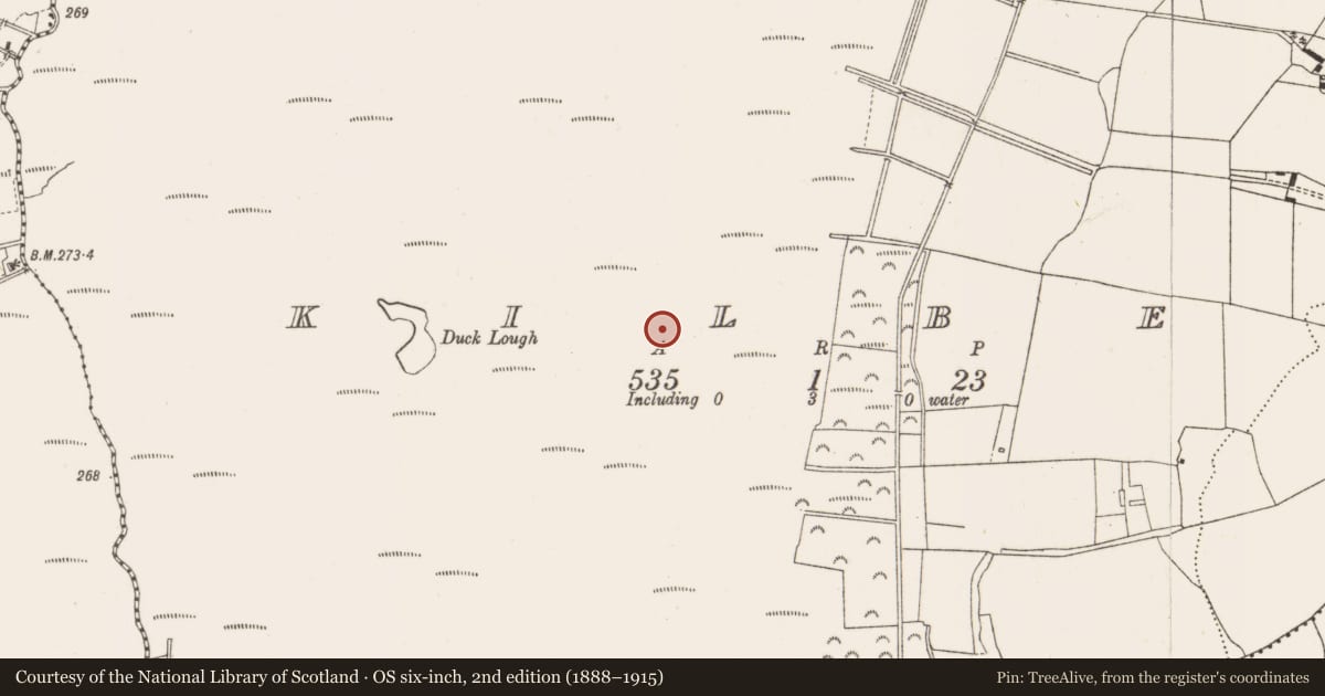 Ordnance Survey six-inch map, 2nd edition (1888–1915) covering the location of Structure - peatland, Kilbeg, County Offaly, with a pin at the register's coordinates