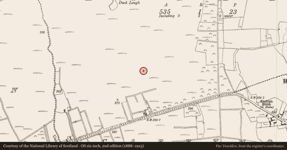 Ordnance Survey six-inch map, 2nd edition (1888–1915) covering the location of Road - class 2 togher, Kilbeg, County Offaly, with a pin at the register's coordinates