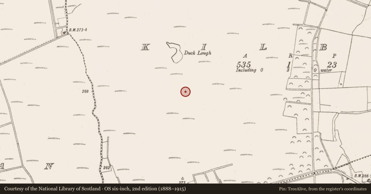 Ordnance Survey six-inch map, 2nd edition (1888–1915) covering the location of Structure - peatland, Kilbeg, County Offaly, with a pin at the register's coordinates