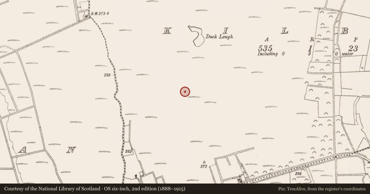Ordnance Survey six-inch map, 2nd edition (1888–1915) covering the location of Structure - peatland, Kilbeg, County Offaly, with a pin at the register's coordinates