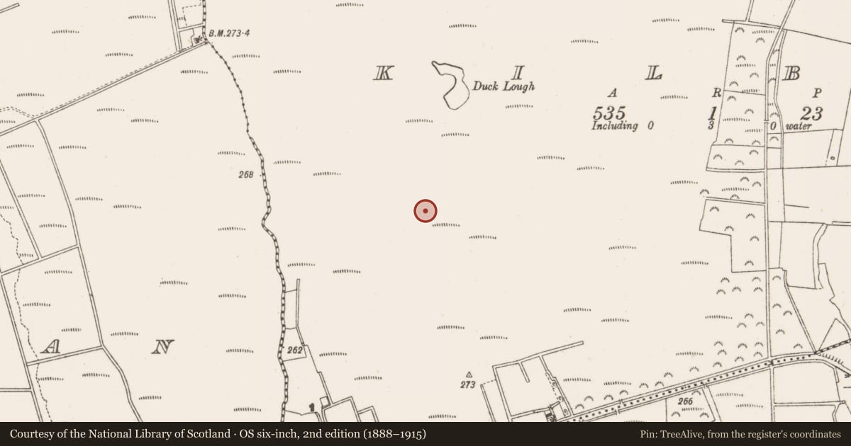 Ordnance Survey six-inch map, 2nd edition (1888–1915) covering the location of Structure - peatland, Kilbeg, County Offaly, with a pin at the register's coordinates