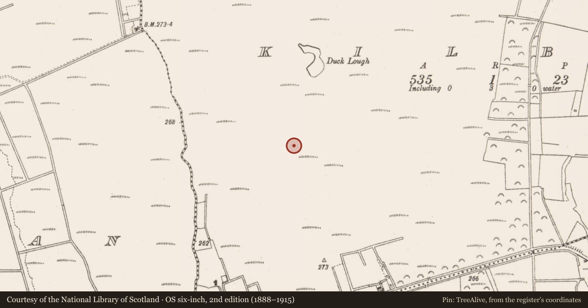 Ordnance Survey six-inch map, 2nd edition (1888–1915) covering the location of Structure - peatland, Kilbeg, County Offaly, with a pin at the register's coordinates