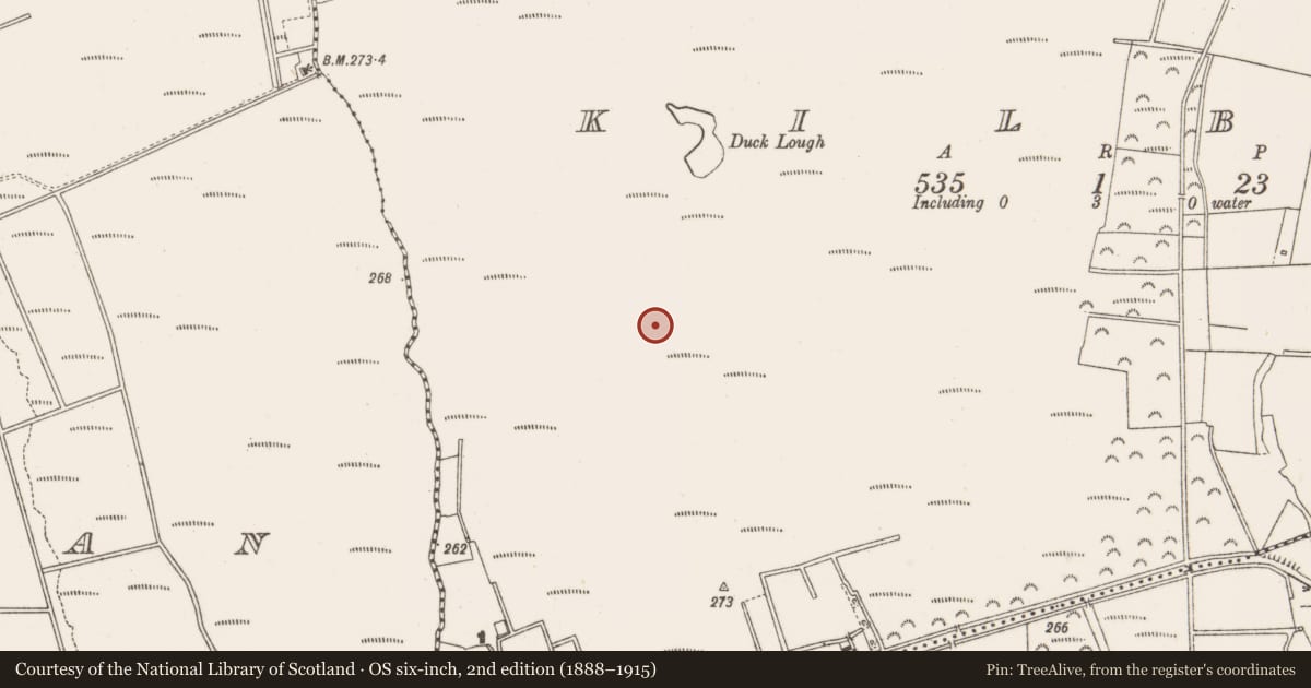Ordnance Survey six-inch map, 2nd edition (1888–1915) covering the location of Structure - peatland, Kilbeg, County Offaly, with a pin at the register's coordinates