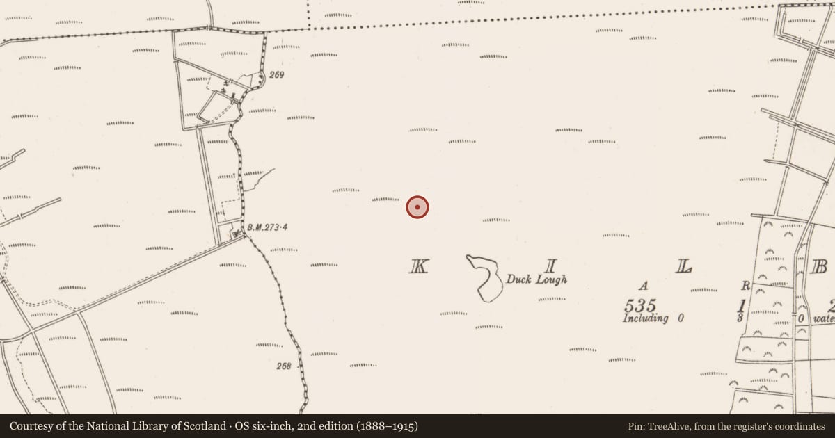 Ordnance Survey six-inch map, 2nd edition (1888–1915) covering the location of Post row - peatland, Kilbeg, County Offaly, with a pin at the register's coordinates