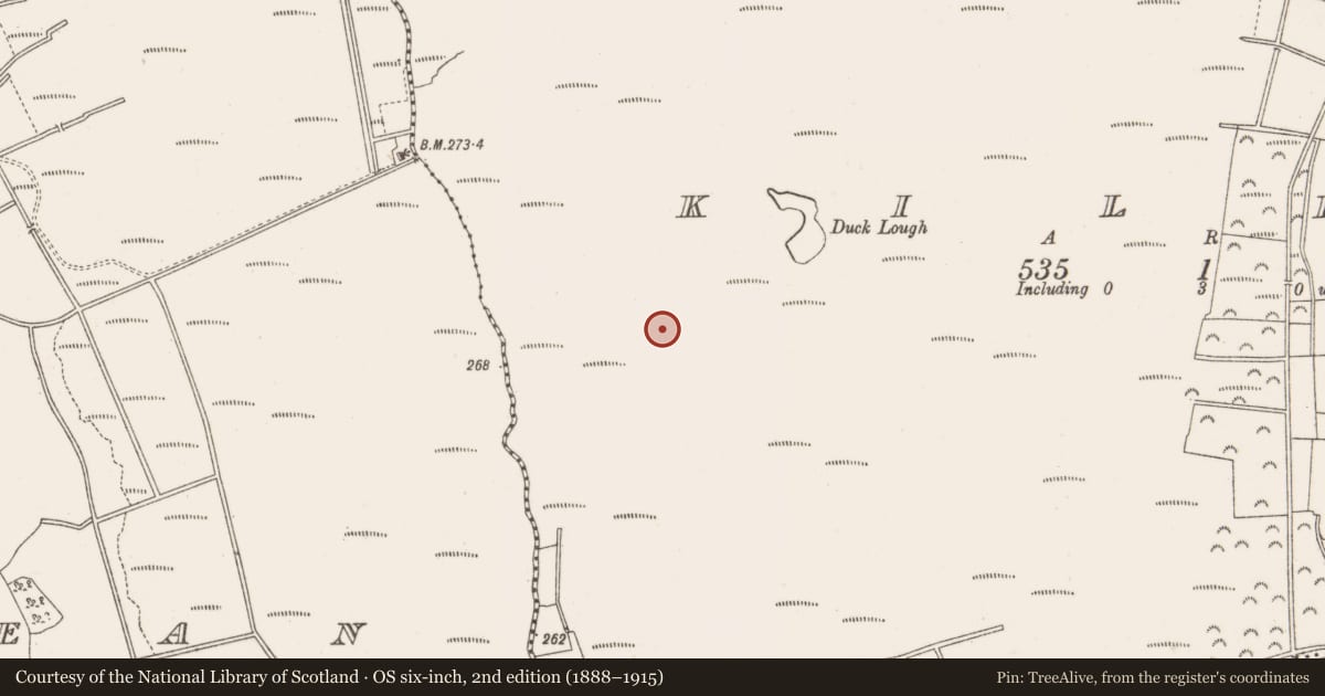 Ordnance Survey six-inch map, 2nd edition (1888–1915) covering the location of Structure - peatland, Kilbeg, County Offaly, with a pin at the register's coordinates
