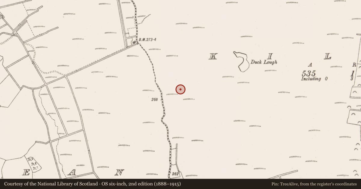 Ordnance Survey six-inch map, 2nd edition (1888–1915) covering the location of Structure - peatland, Kilbeg, County Offaly, with a pin at the register's coordinates