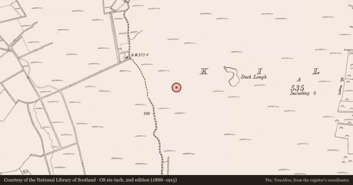 Ordnance Survey six-inch map, 2nd edition (1888–1915) covering the location of Structure - peatland, Kilbeg, County Offaly, with a pin at the register's coordinates