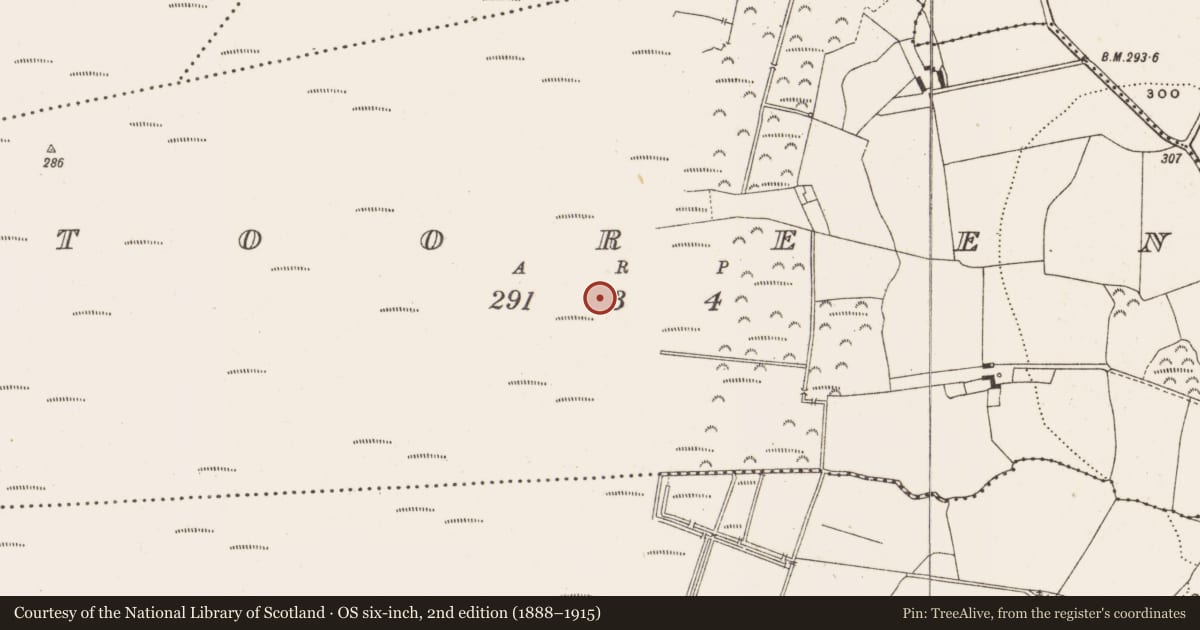 Ordnance Survey six-inch map, 2nd edition (1888–1915) covering the location of Road - class 2 togher, Tooreen, County Offaly, with a pin at the register's coordinates