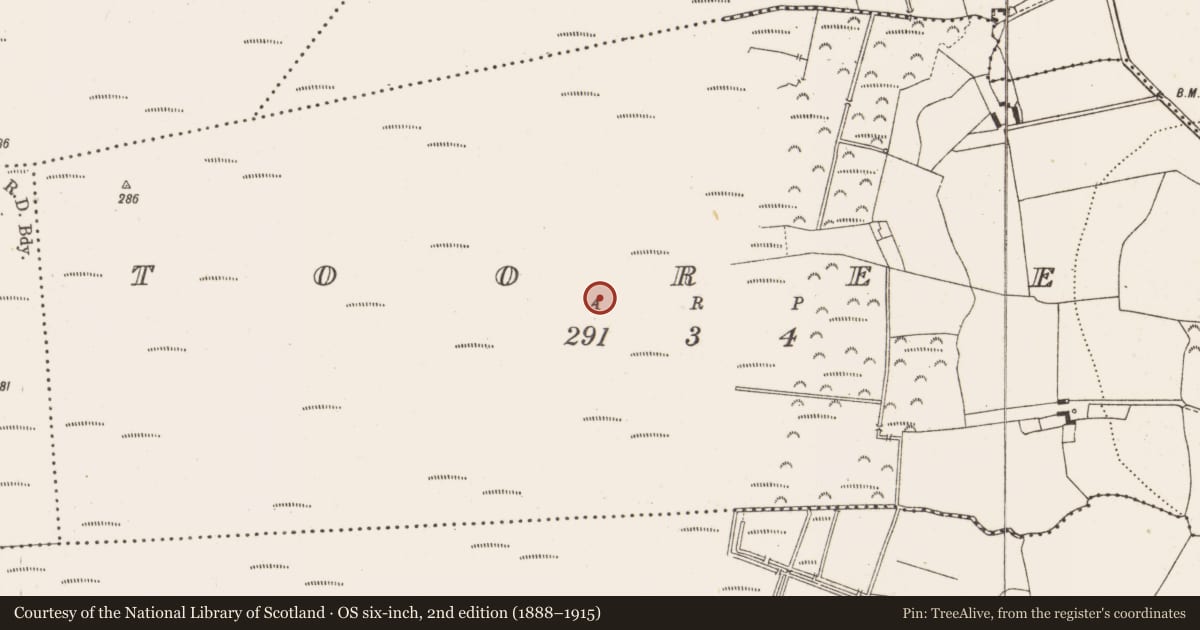 Ordnance Survey six-inch map, 2nd edition (1888–1915) covering the location of Structure - peatland, Tooreen, County Offaly, with a pin at the register's coordinates