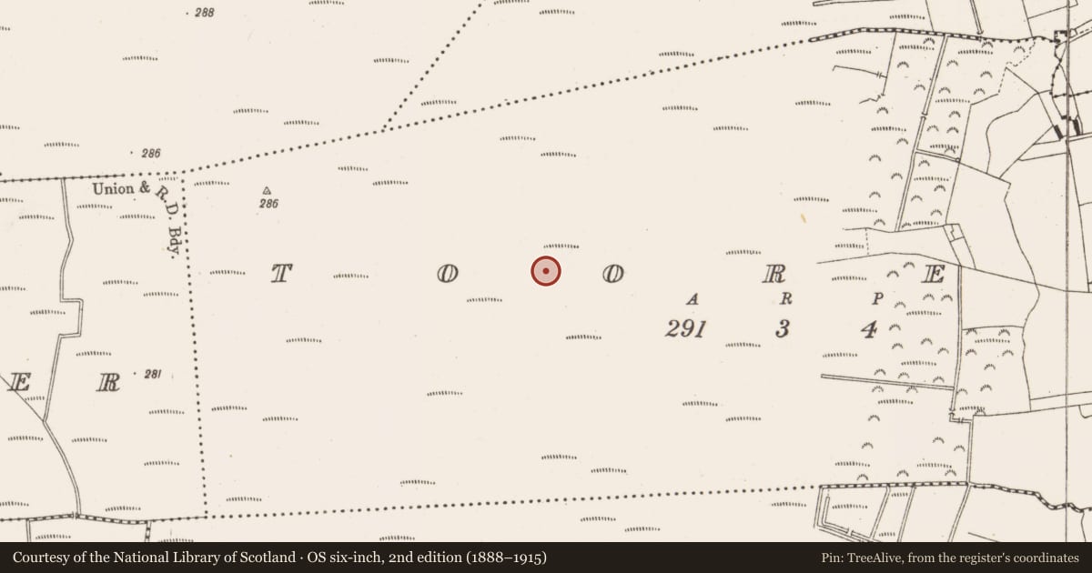 Ordnance Survey six-inch map, 2nd edition (1888–1915) covering the location of Structure - peatland, Tooreen, County Offaly, with a pin at the register's coordinates