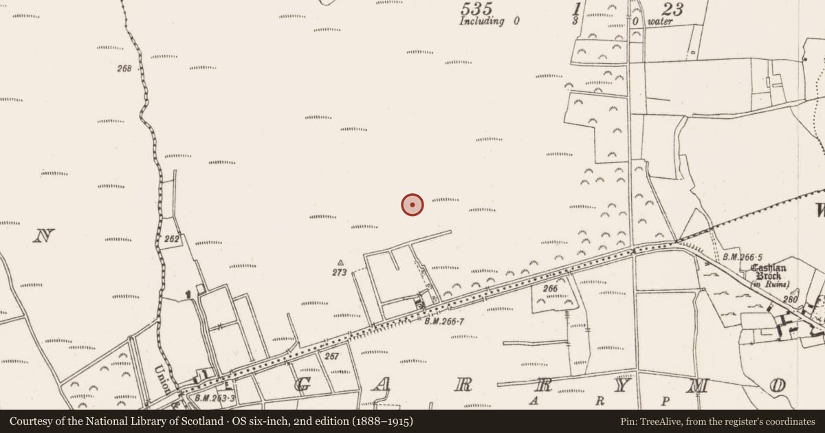 Ordnance Survey six-inch map, 2nd edition (1888–1915) covering the location of Structure - peatland, Kilbeg, County Offaly, with a pin at the register's coordinates