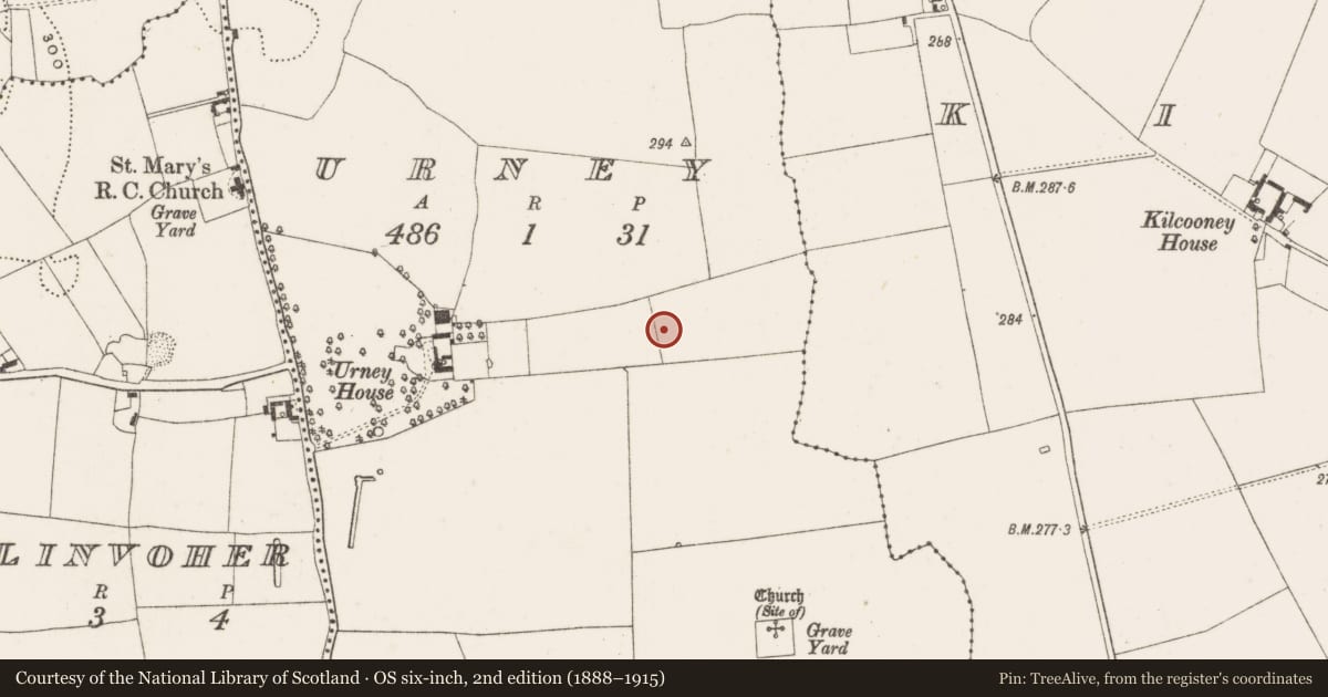 Ordnance Survey six-inch map, 2nd edition (1888–1915) covering the location of Ring-ditch, Urney, County Offaly, with a pin at the register's coordinates