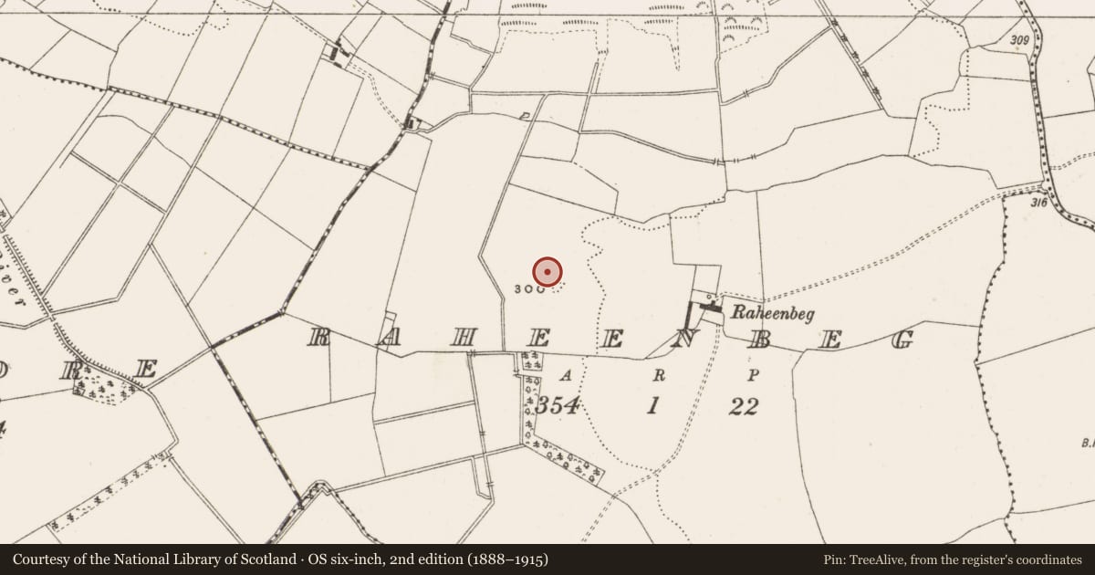 Ordnance Survey six-inch map, 2nd edition (1888–1915) covering the location of Enclosure, Raheenbeg, County Offaly, with a pin at the register's coordinates