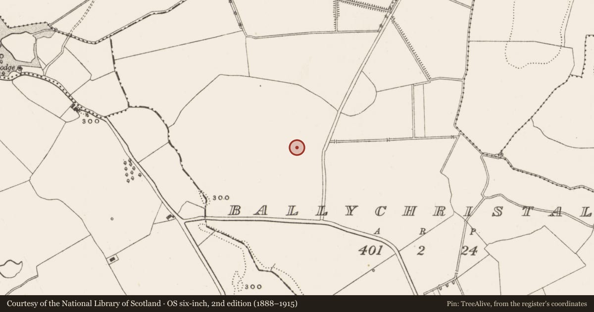 Ordnance Survey six-inch map, 2nd edition (1888–1915) covering the location of Burnt spread, Ballychristal, County Offaly, with a pin at the register's coordinates