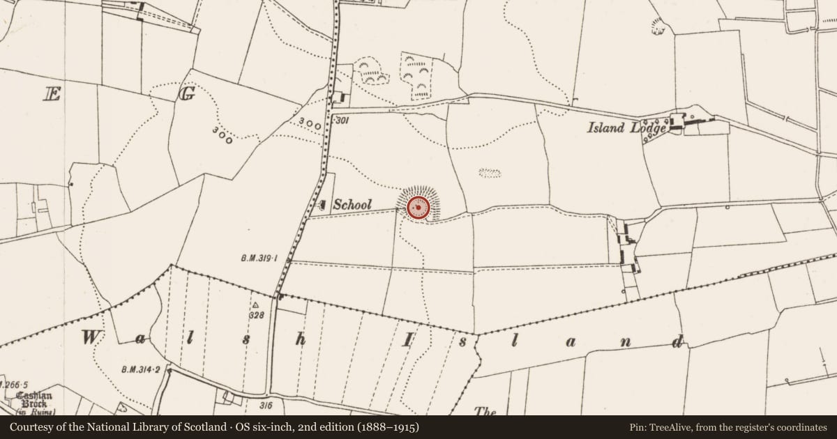 Ordnance Survey six-inch map, 2nd edition (1888–1915) covering the location of Ringfort - unclassified, Coolagary, County Offaly, with a pin at the register's coordinates