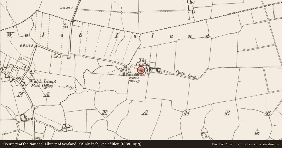 Ordnance Survey six-inch map, 2nd edition (1888–1915) covering the location of Castle - unclassified, Raheenakeeran, County Offaly, with a pin at the register's coordinates