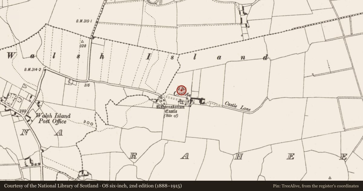 Ordnance Survey six-inch map, 2nd edition (1888–1915) covering the location of Enclosure, Raheenakeeran, County Offaly, with a pin at the register's coordinates