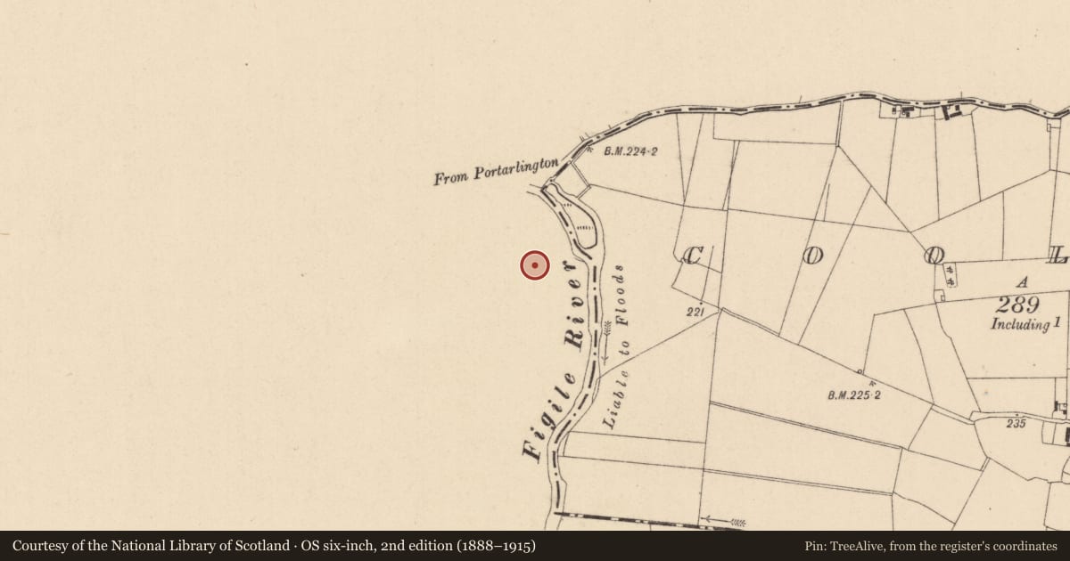 Ordnance Survey six-inch map, 2nd edition (1888–1915) covering the location of Ringfort - rath, Derrygarran, County Offaly, with a pin at the register's coordinates