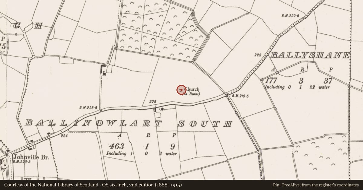Ordnance Survey six-inch map, 2nd edition (1888–1915) covering the location of Burial, Ballinowlart South, County Offaly, with a pin at the register's coordinates