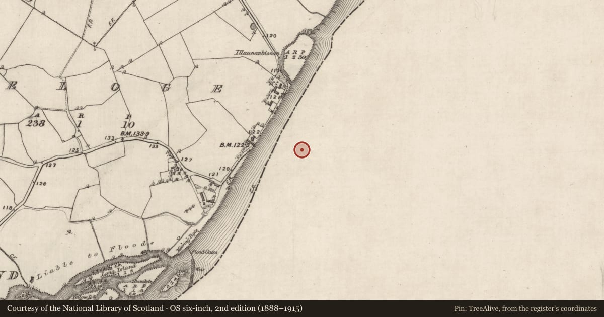 Ordnance Survey six-inch map, 2nd edition (1888–1915) covering the location of Battery, Incherky, County Offaly, with a pin at the register's coordinates
