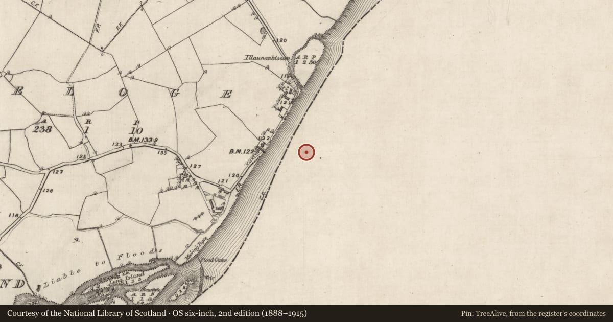 Ordnance Survey six-inch map, 2nd edition (1888–1915) covering the location of Battery, Incherky, County Offaly, with a pin at the register's coordinates