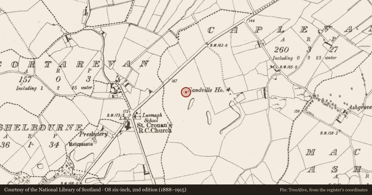 Ordnance Survey six-inch map, 2nd edition (1888–1915) covering the location of Enclosure, Caplevane, County Offaly, with a pin at the register's coordinates