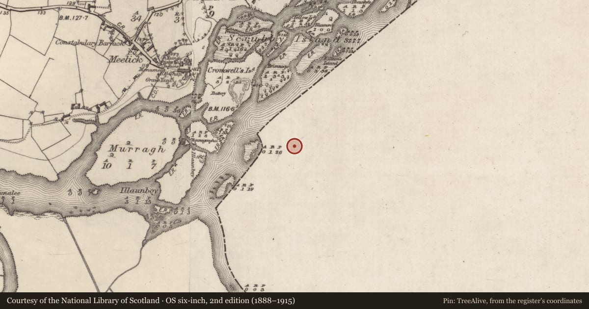 Ordnance Survey six-inch map, 2nd edition (1888–1915) covering the location of Martello tower, Clonahenoge, County Offaly, with a pin at the register's coordinates