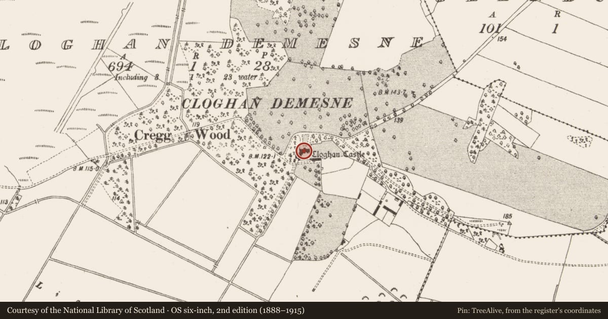 Ordnance Survey six-inch map, 2nd edition (1888–1915) covering the location of Castle - tower house, Cloghan Demesne, County Offaly, with a pin at the register's coordinates