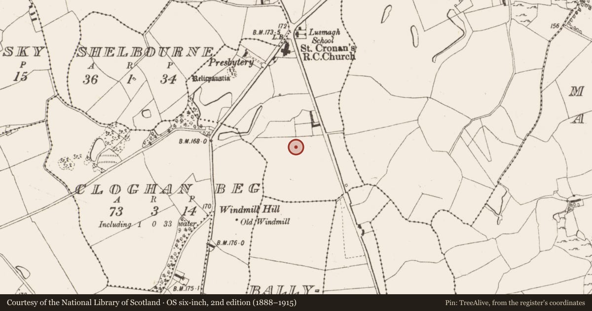 Ordnance Survey six-inch map, 2nd edition (1888–1915) covering the location of Enclosure, Gortarevan, County Offaly, with a pin at the register's coordinates