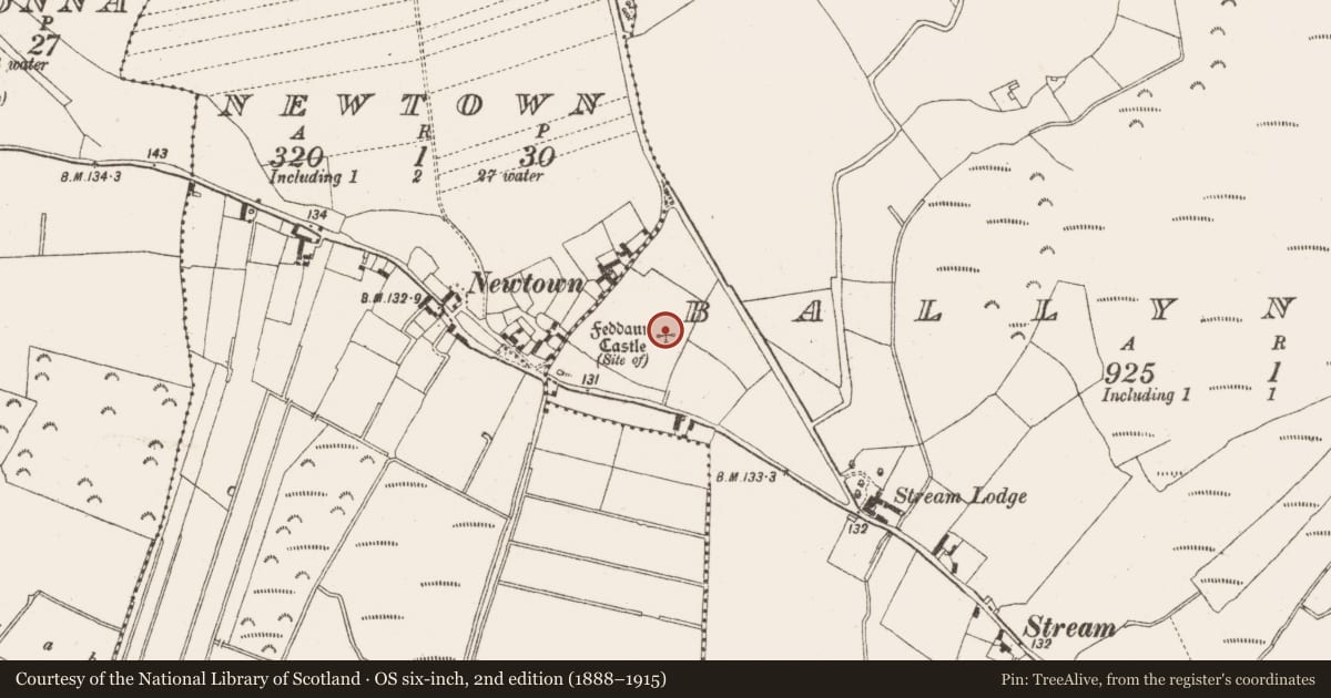 Ordnance Survey six-inch map, 2nd edition (1888–1915) covering the location of Castle - unclassified, Ballynasrah, County Offaly, with a pin at the register's coordinates