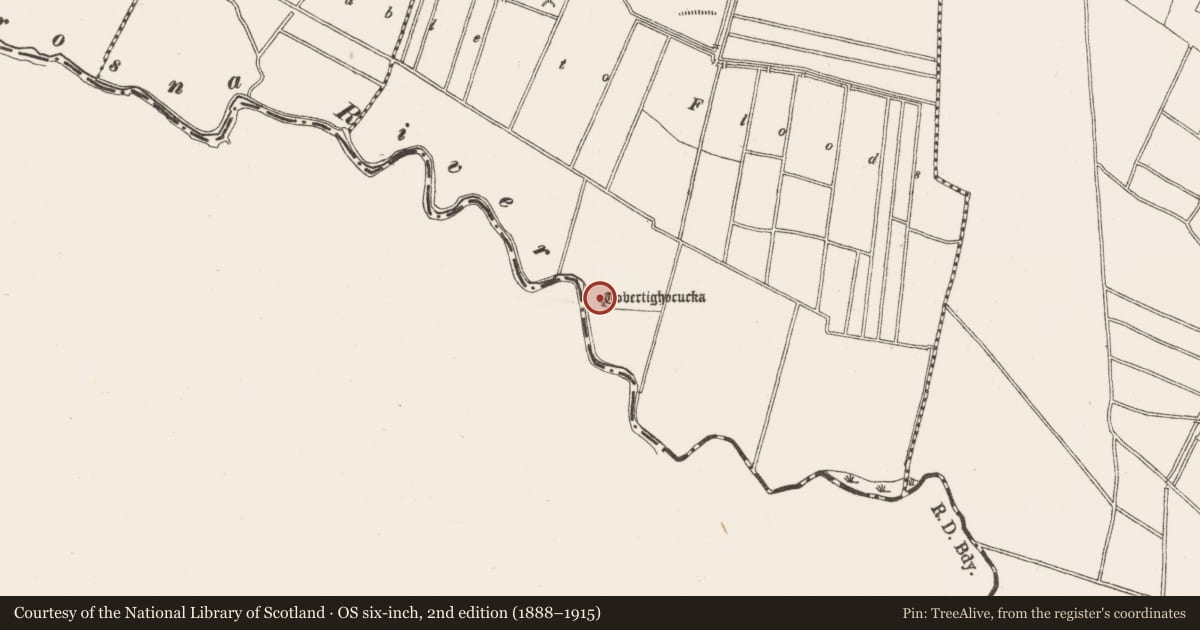 Ordnance Survey six-inch map, 2nd edition (1888–1915) covering the location of Ritual site - holy well, Newtown, County Offaly, with a pin at the register's coordinates