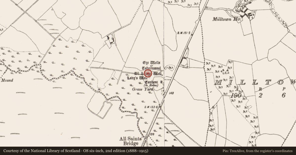 Ordnance Survey six-inch map, 2nd edition (1888–1915) covering the location of Ritual site - holy well, Garrycastle, County Offaly, with a pin at the register's coordinates