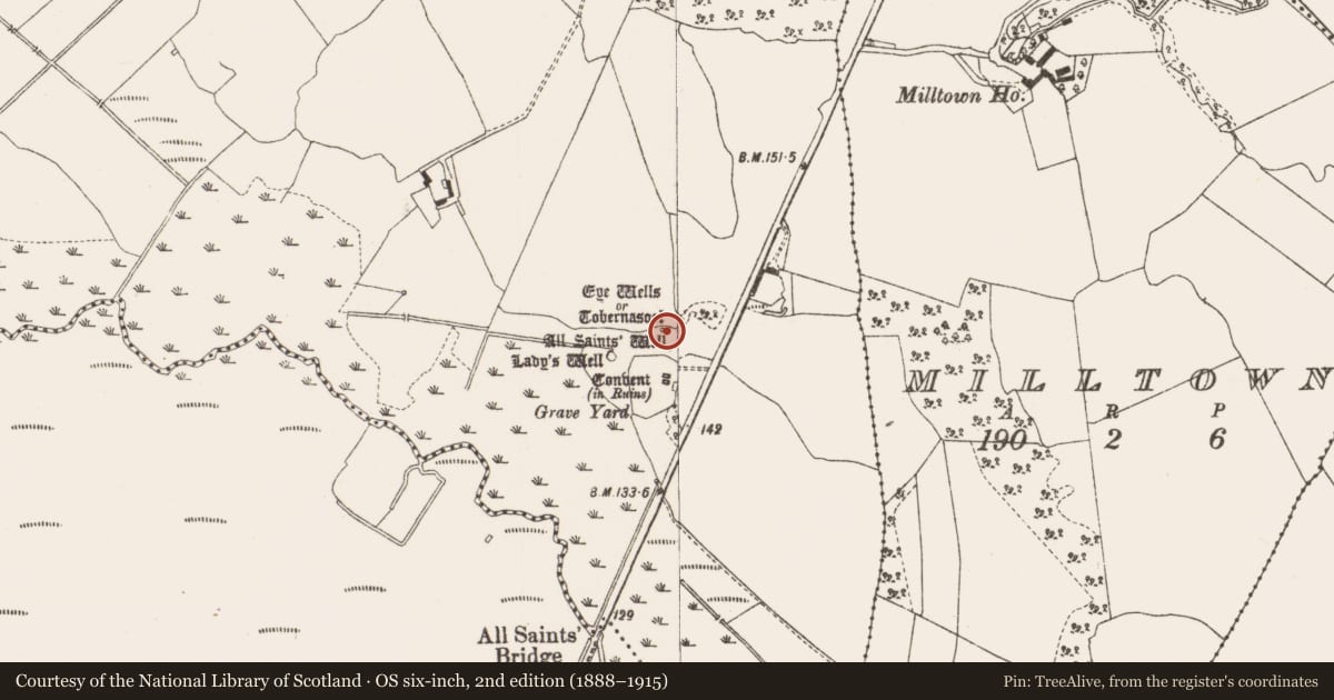 Ordnance Survey six-inch map, 2nd edition (1888–1915) covering the location of Ritual site - holy well, Garrycastle, County Offaly, with a pin at the register's coordinates