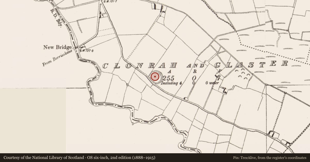 Ordnance Survey six-inch map, 2nd edition (1888–1915) covering the location of Ringfort - rath, Clonrah And Glaster, County Offaly, with a pin at the register's coordinates