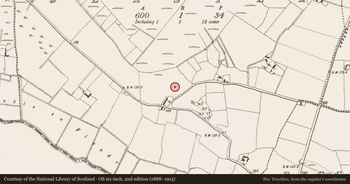 Ordnance Survey six-inch map, 2nd edition (1888–1915) covering the location of Glass works, Glaster, County Offaly, with a pin at the register's coordinates