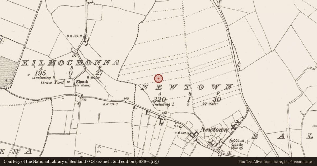 Ordnance Survey six-inch map, 2nd edition (1888–1915) covering the location of Burial ground, Newtown, County Offaly, with a pin at the register's coordinates