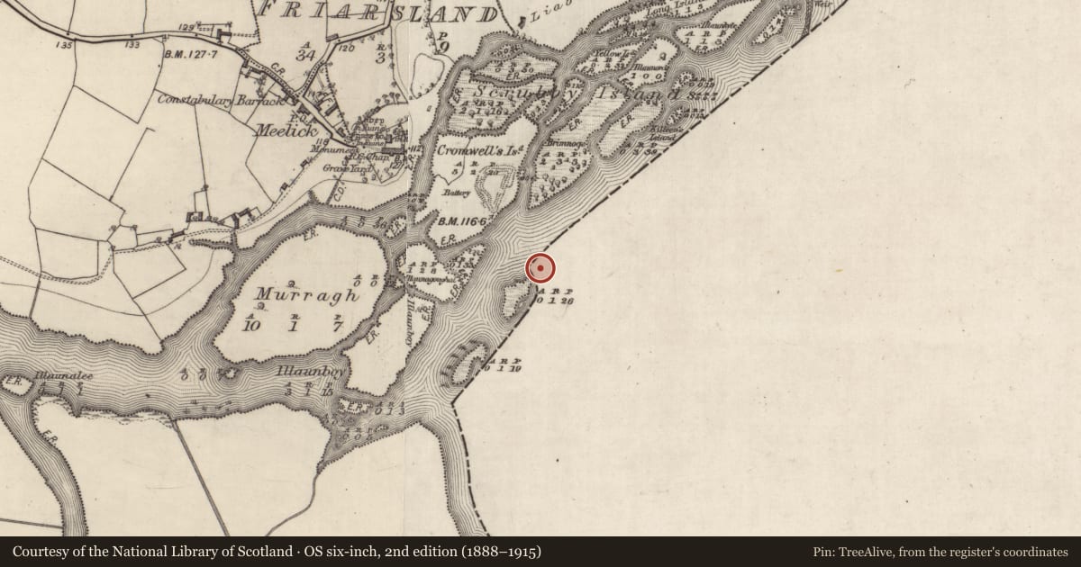 Ordnance Survey six-inch map, 2nd edition (1888–1915) covering the location of Weir - fish, Clonahenoge, County Offaly, with a pin at the register's coordinates