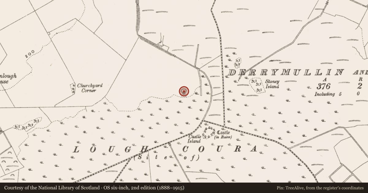 Ordnance Survey six-inch map, 2nd edition (1888–1915) covering the location of Enclosure, Derrinlough, County Offaly, with a pin at the register's coordinates