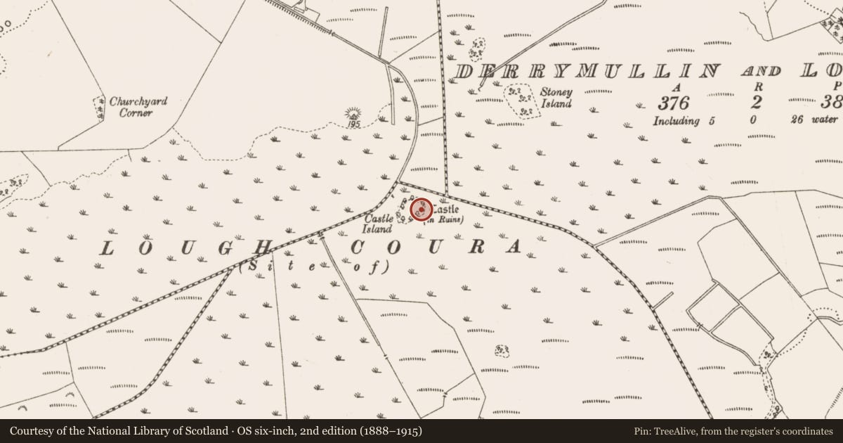 Ordnance Survey six-inch map, 2nd edition (1888–1915) covering the location of Castle - tower house, Whigsborough, County Offaly, with a pin at the register's coordinates