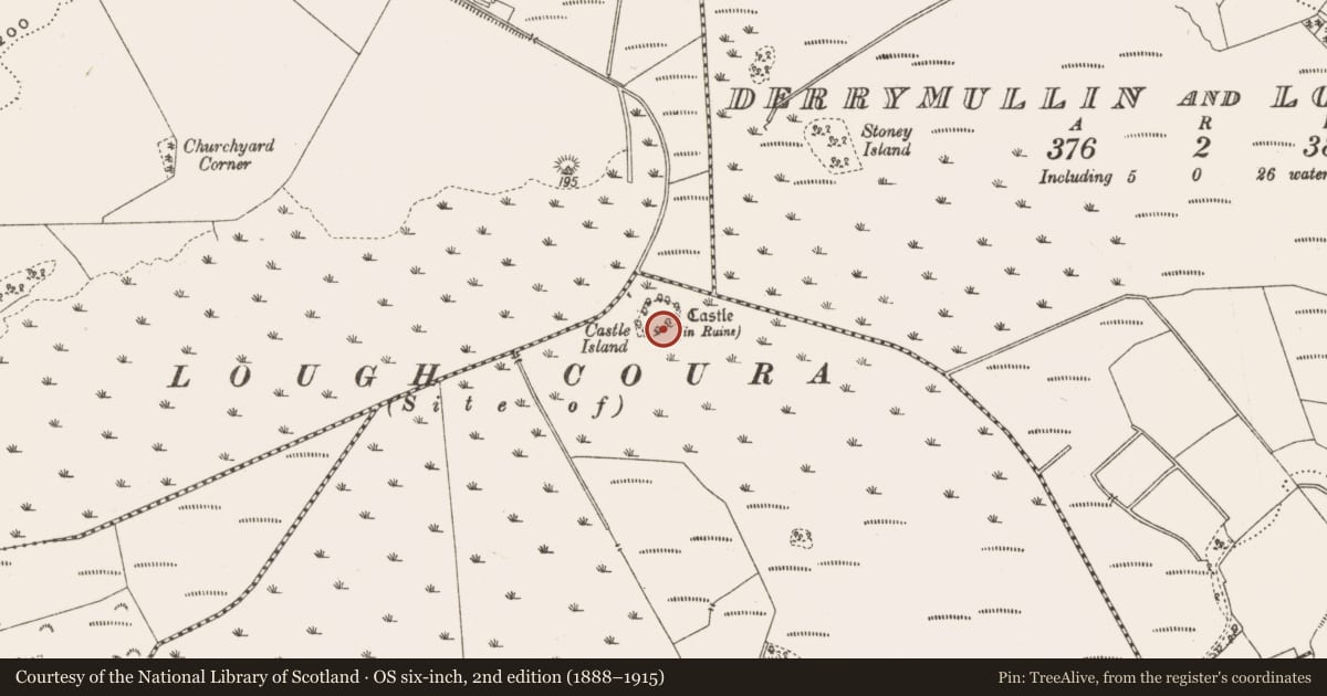 Ordnance Survey six-inch map, 2nd edition (1888–1915) covering the location of Bawn, Whigsborough, County Offaly, with a pin at the register's coordinates