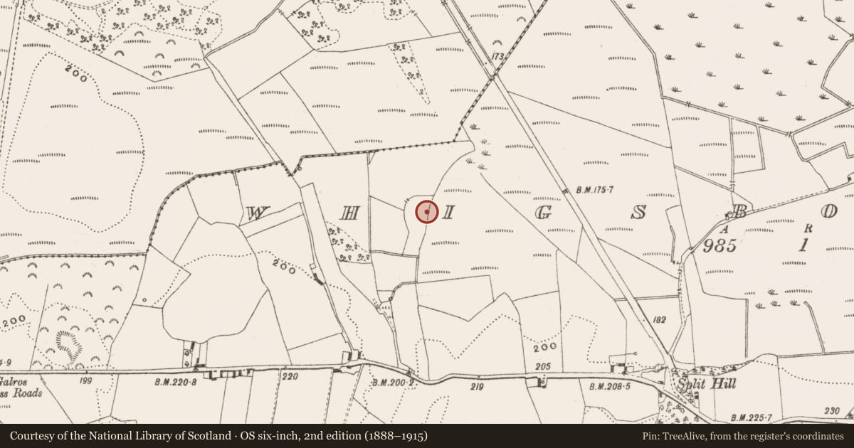 Ordnance Survey six-inch map, 2nd edition (1888–1915) covering the location of Enclosure, Whigsborough, County Offaly, with a pin at the register's coordinates