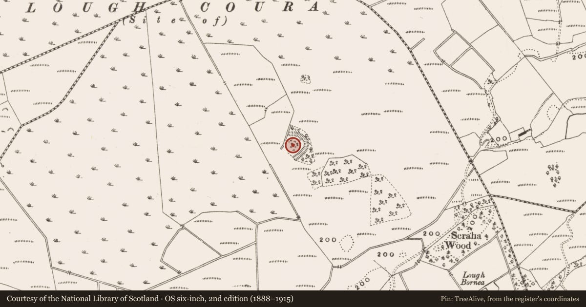 Ordnance Survey six-inch map, 2nd edition (1888–1915) covering the location of Ringfort - rath, Whigsborough, County Offaly, with a pin at the register's coordinates