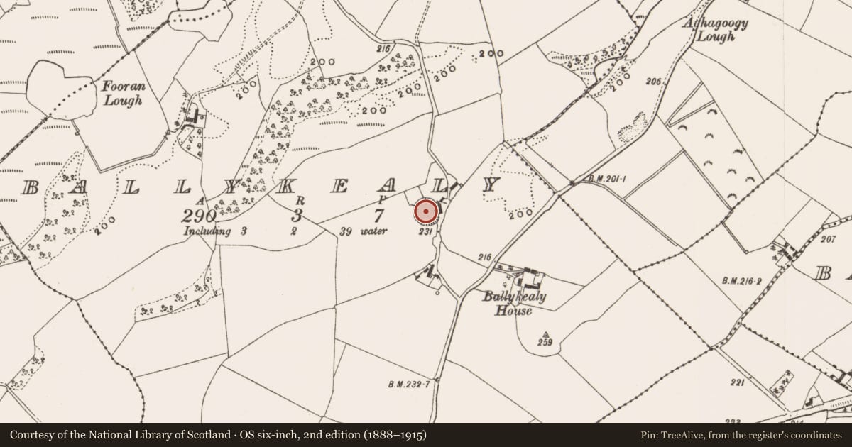 Ordnance Survey six-inch map, 2nd edition (1888–1915) covering the location of Ringfort - rath, Ballykealy, County Offaly, with a pin at the register's coordinates