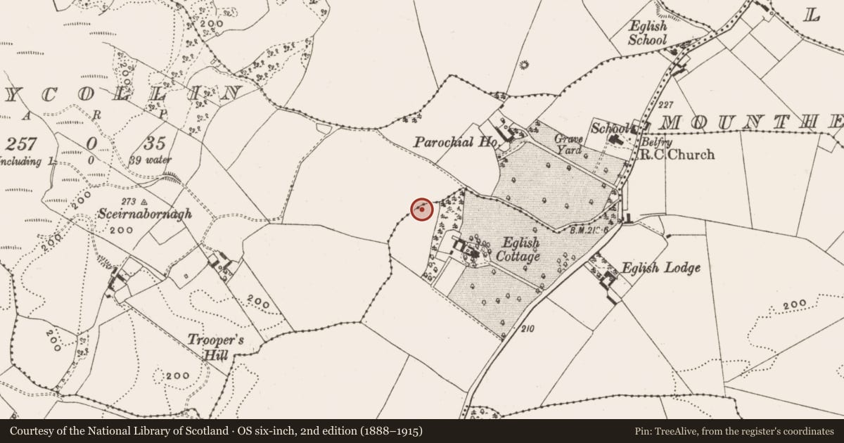 Ordnance Survey six-inch map, 2nd edition (1888–1915) covering the location of Enclosure, Ballycollin, Eglish, County Offaly, with a pin at the register's coordinates