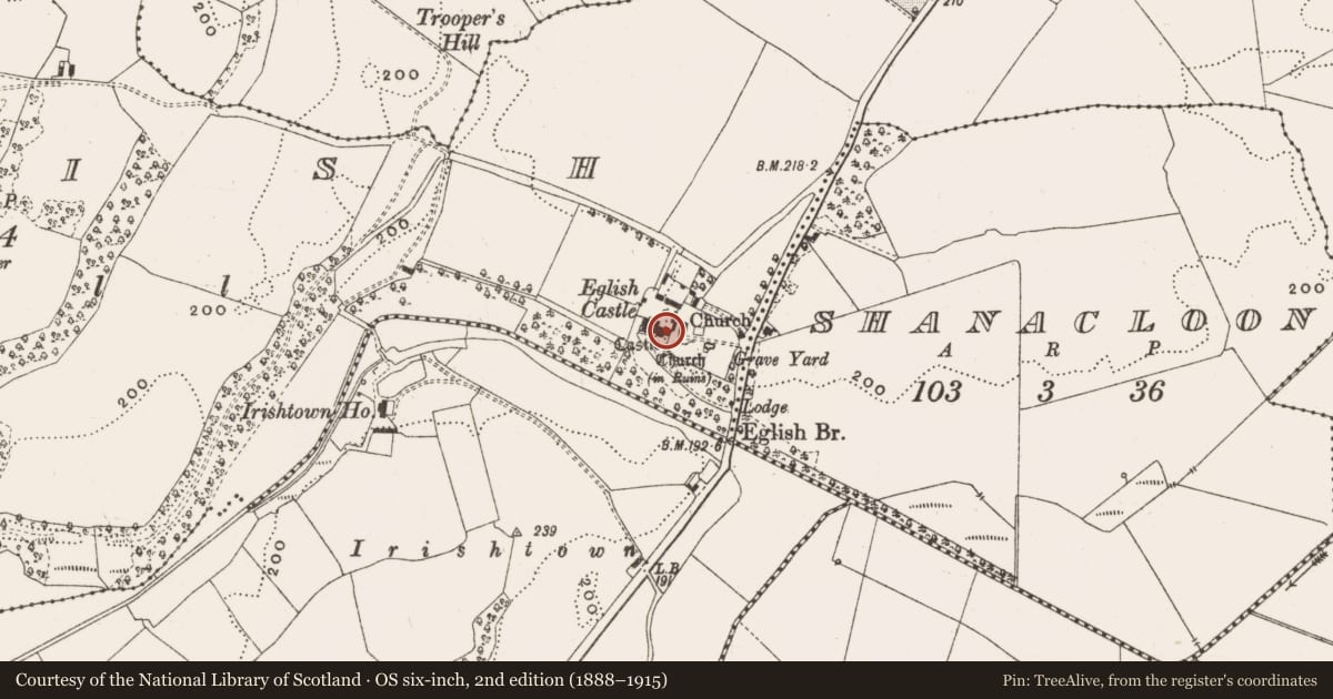 Ordnance Survey six-inch map, 2nd edition (1888–1915) covering the location of Castle - tower house, Eglish, County Offaly, with a pin at the register's coordinates
